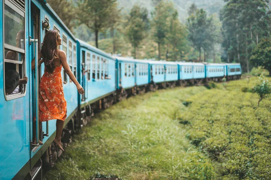 Train journey through tea plantations